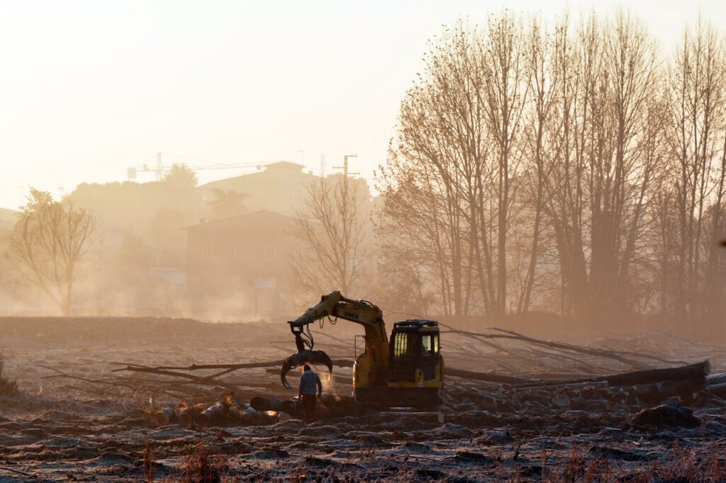 Person Standing Near a Yellow and Black Excavator in the Field